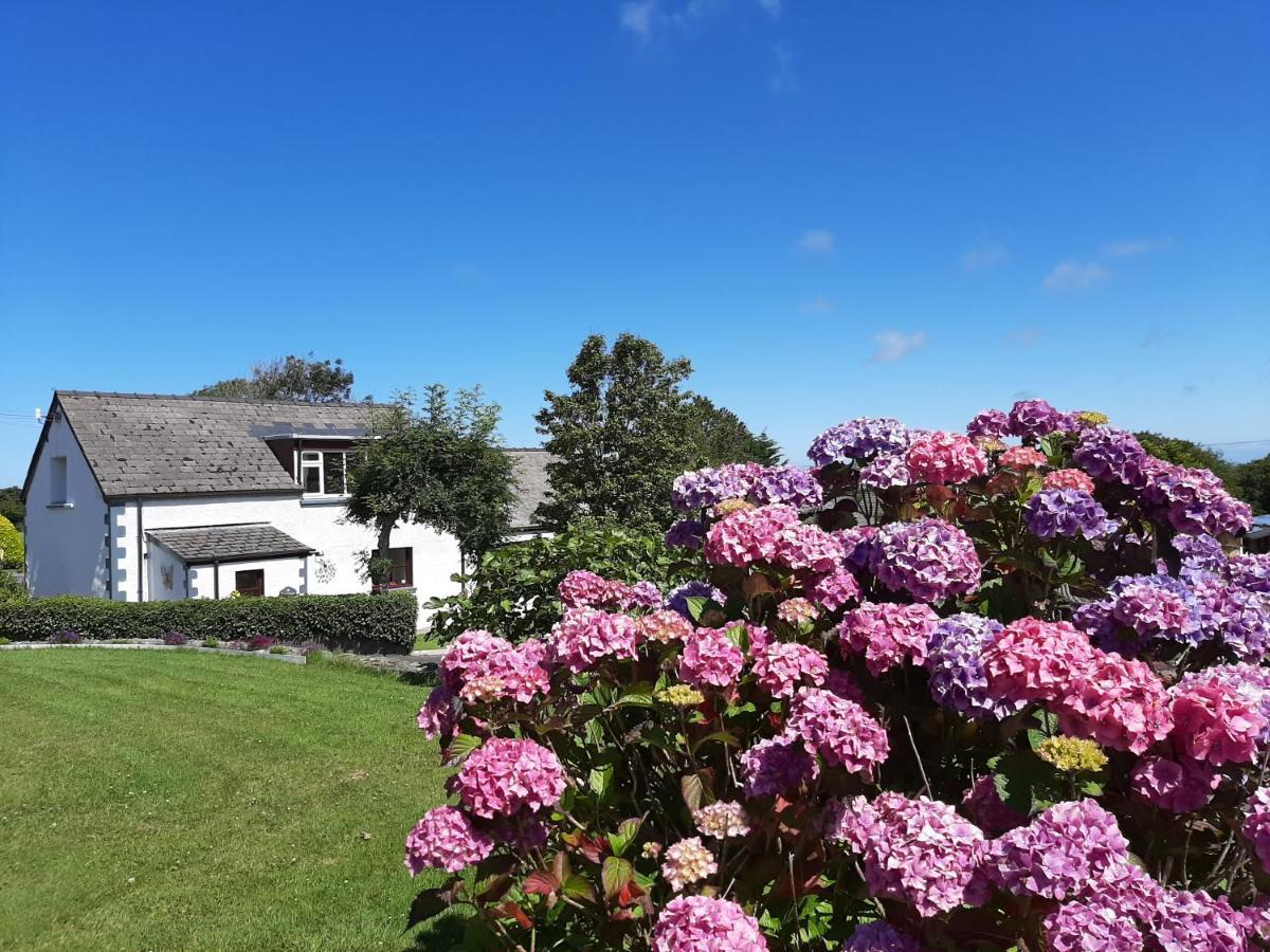 Trenewydd Farm Holiday Cottages Cardigan Extérieur photo